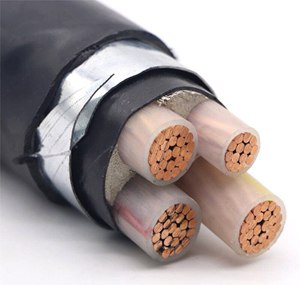 铠装电力电缆 YJV22